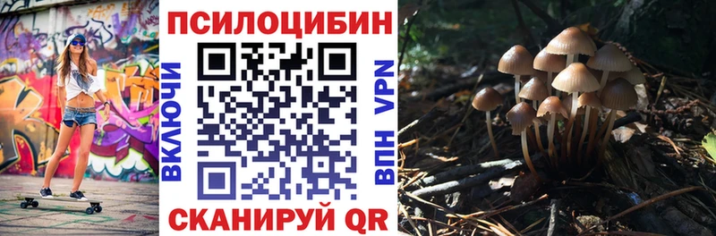 Псилоцибиновые грибы Cubensis  Купить закладки  Нефтекумск 